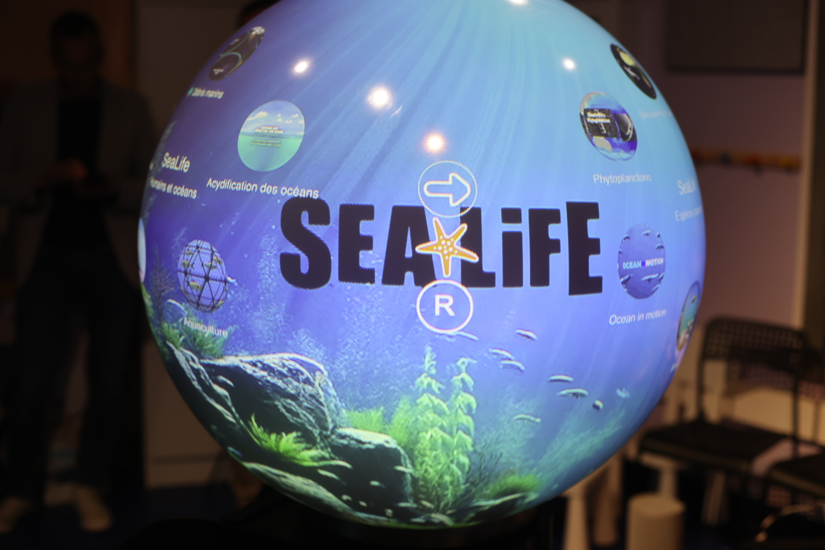 Sea Life