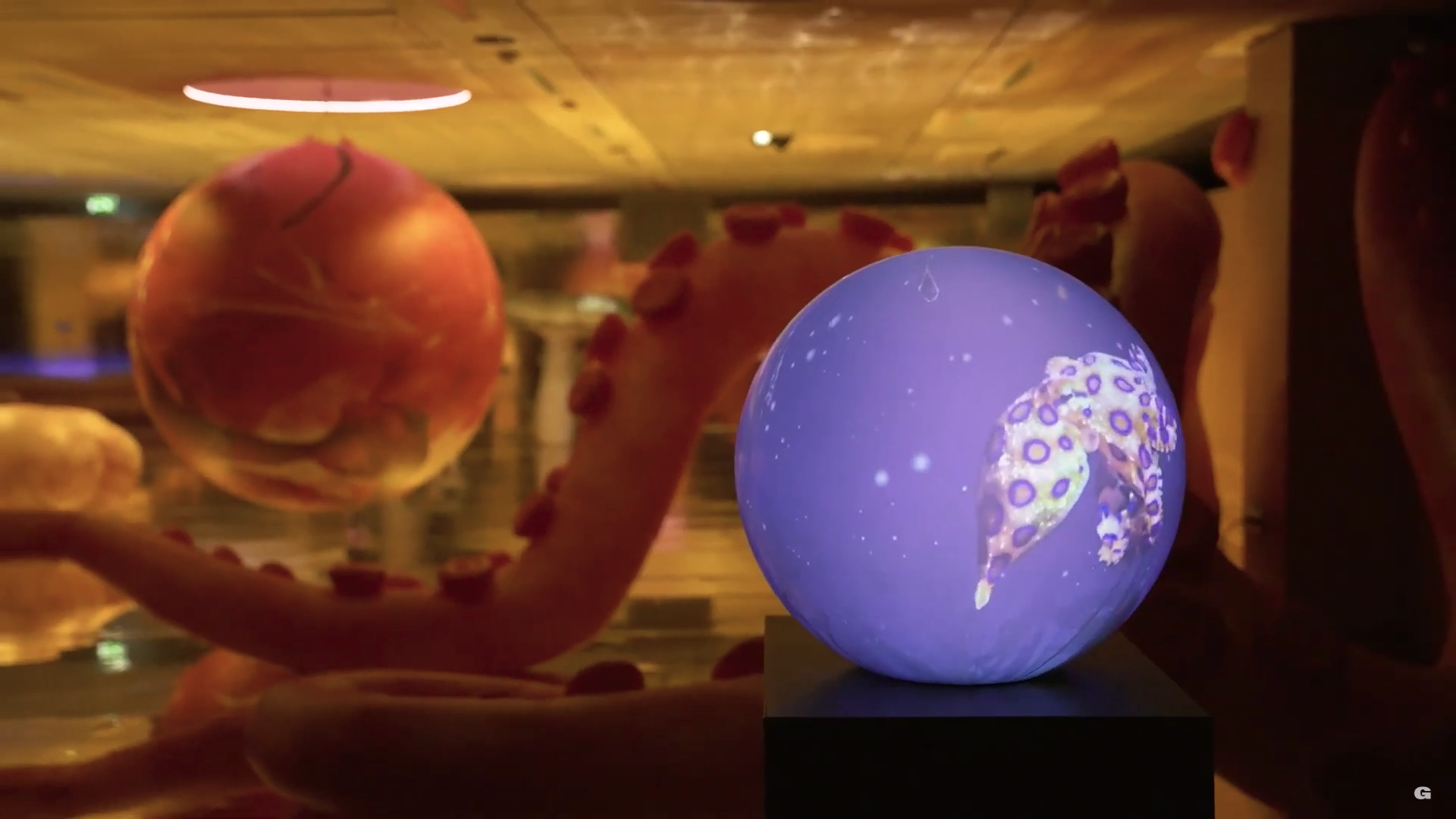 Capture d’écran 2025-12-02 à 15.33.18