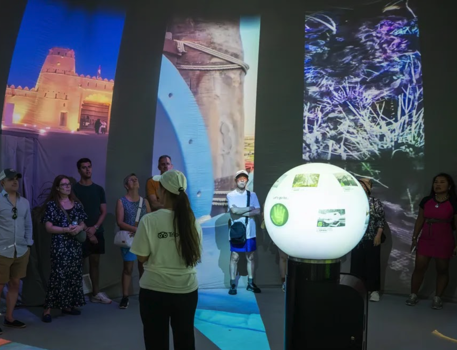 Tripadvisor Dome