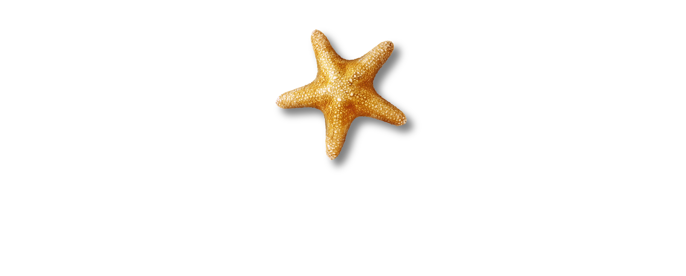 SEA LIFE + Paris (White text) RGB