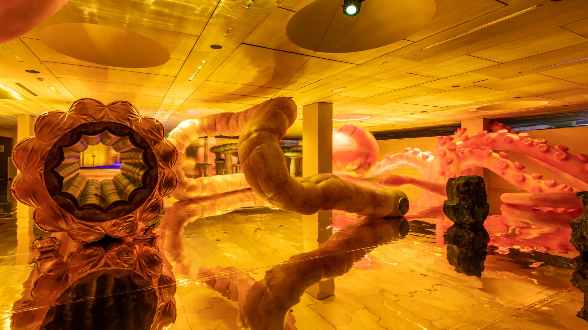 shiny-gold-voyez-vous-vinciane-lebrun-8005_cover